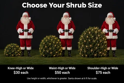 Shrub Lighting — illustrative holiday lighting design
